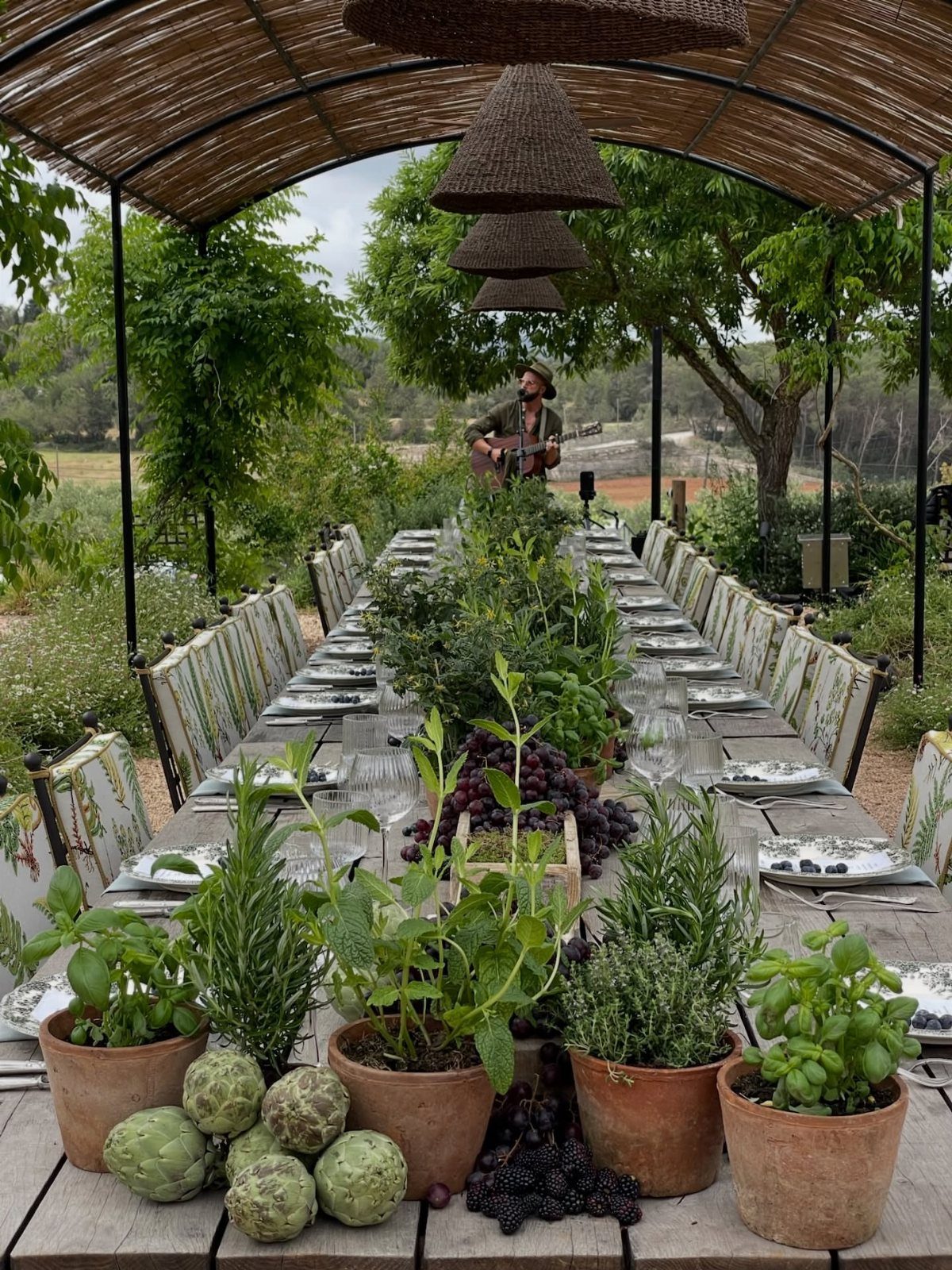 Long wooden dining table decorated with potted herbs and dark grapes under a rustic canopy.