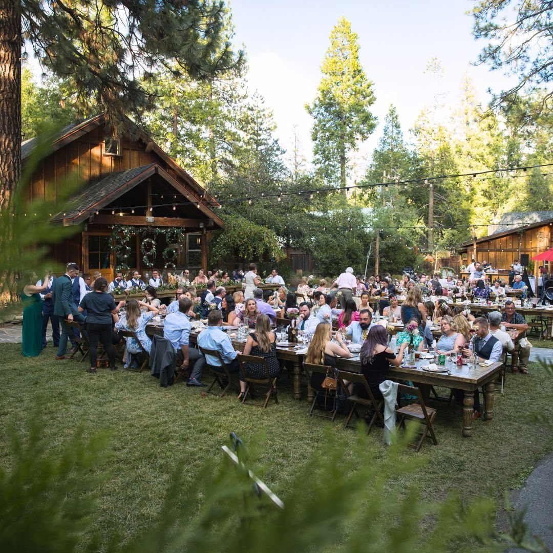 12 Forest Wedding Reception Ideas Under Lanterns and Light 8 Guests seated at long wooden tables during an outdoor wedding reception in a forest setting.