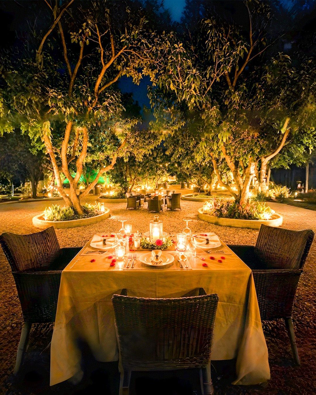 A romantic outdoor dining table set with candles, glassware, and flowers under lit trees at night.