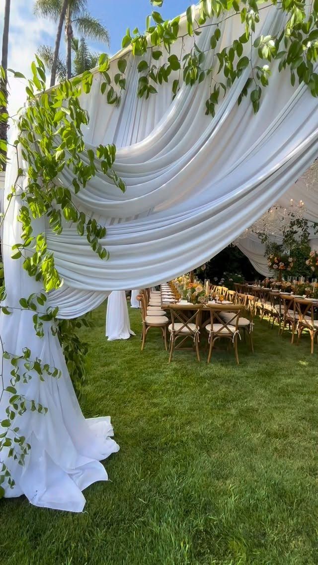 White draped fabric canopy with green vines overlooking an outdoor wedding reception table on grass.