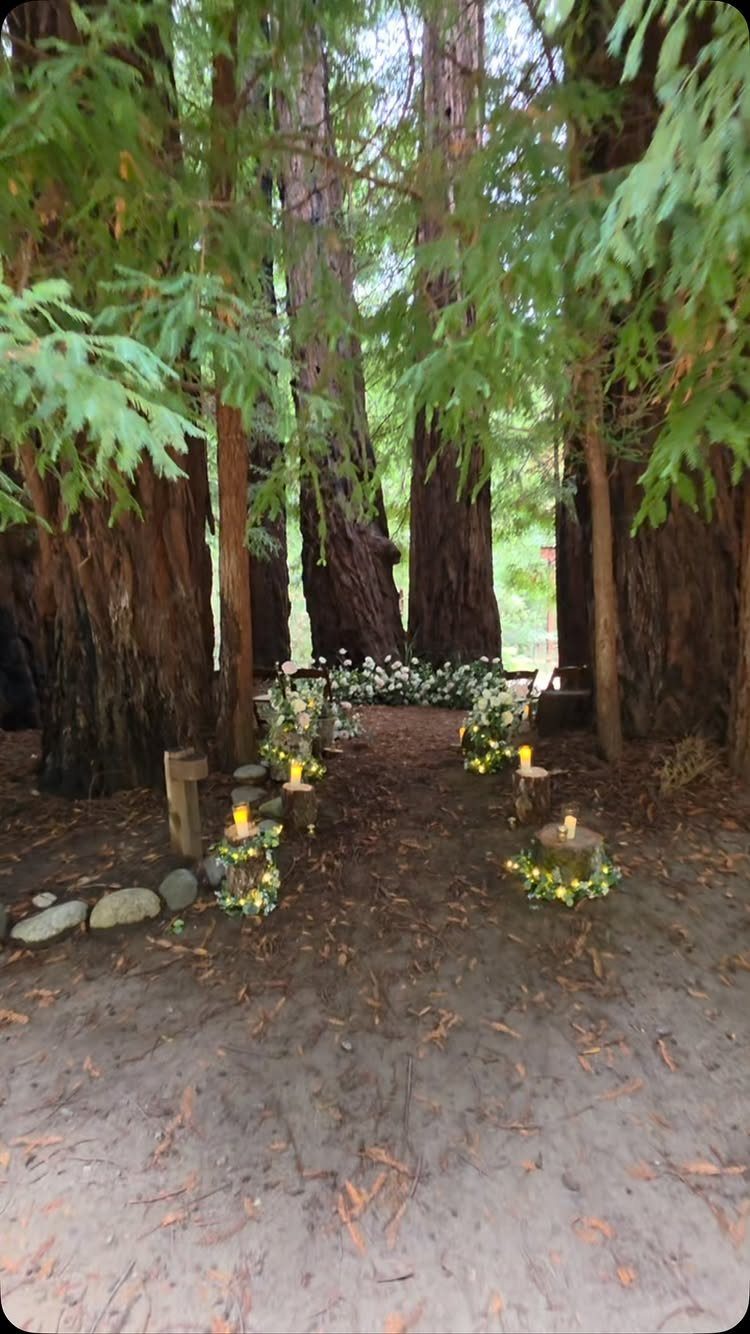 Twilight Forest Wedding Ideas: 10 Concepts for 2026 4 A decorated forest clearing with glowing lanterns and white flowers forming an aisle between tall redwood trees.