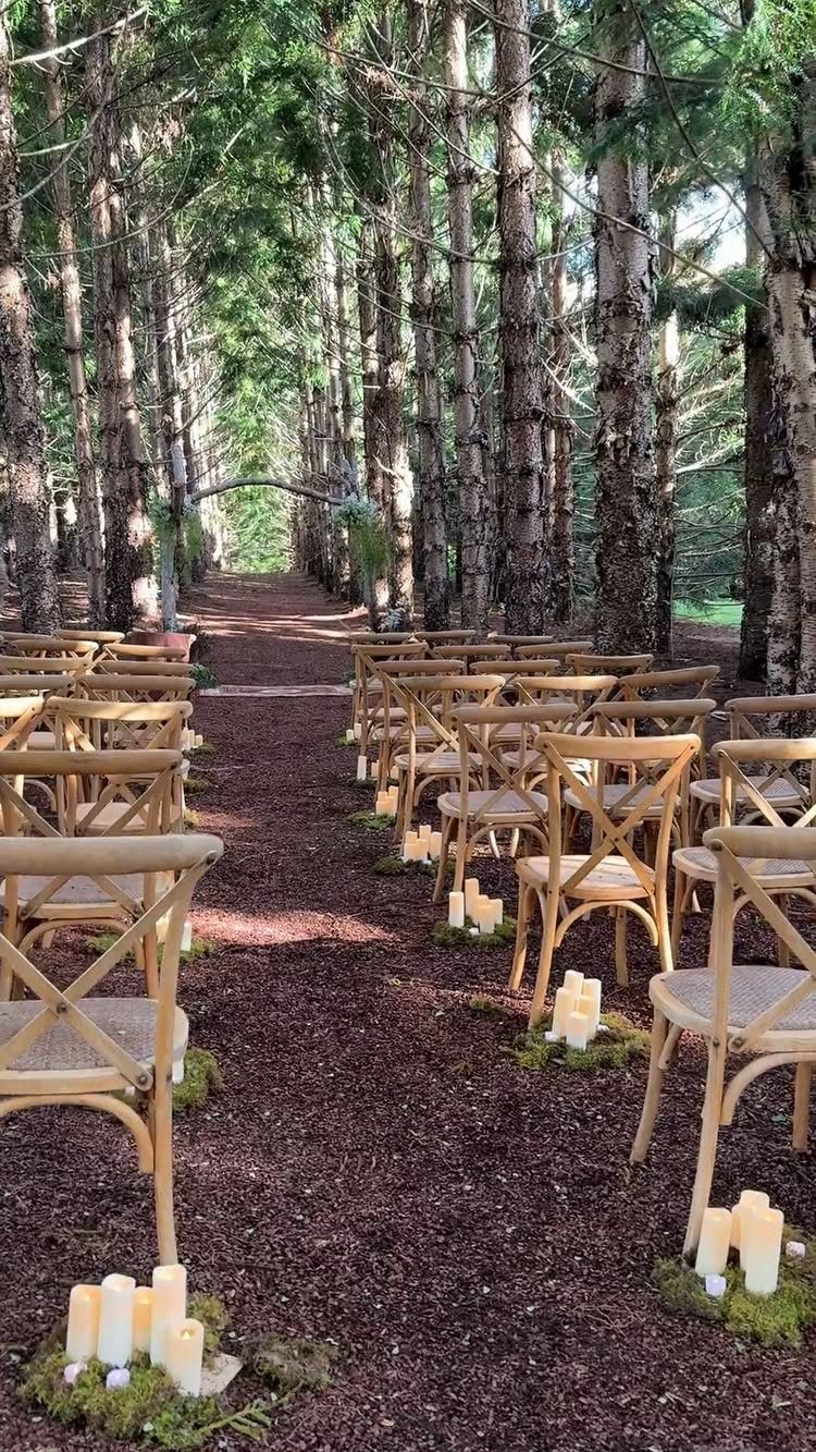 Twilight Forest Wedding Ideas: 10 Concepts for 2026 9 Wooden cross-back chairs line a forest aisle decorated with white candles and moss.