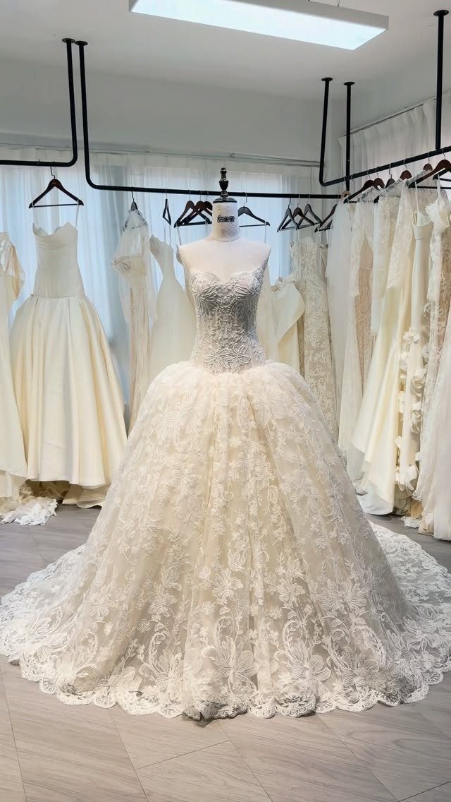 Wedding Dress Fabrics: 4 Photos of Silk, Lace, Satin and Tulle 2 An ivory lace wedding dress with an intricate embroidered bodice and voluminous skirt on a mannequin.