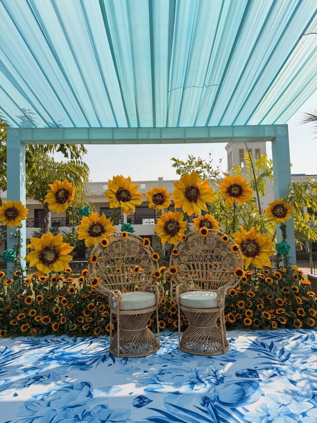 Two wicker chairs with white cushions surrounded by many bright sunflowers under a blue canopy.
