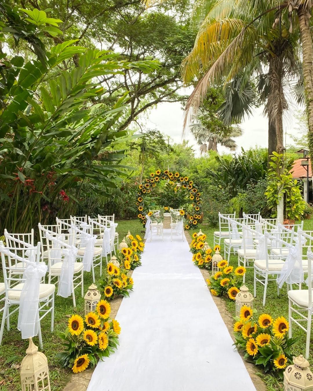 Outdoor wedding ceremony aisle lined with bright yellow sunflowers and white chairs under green trees.