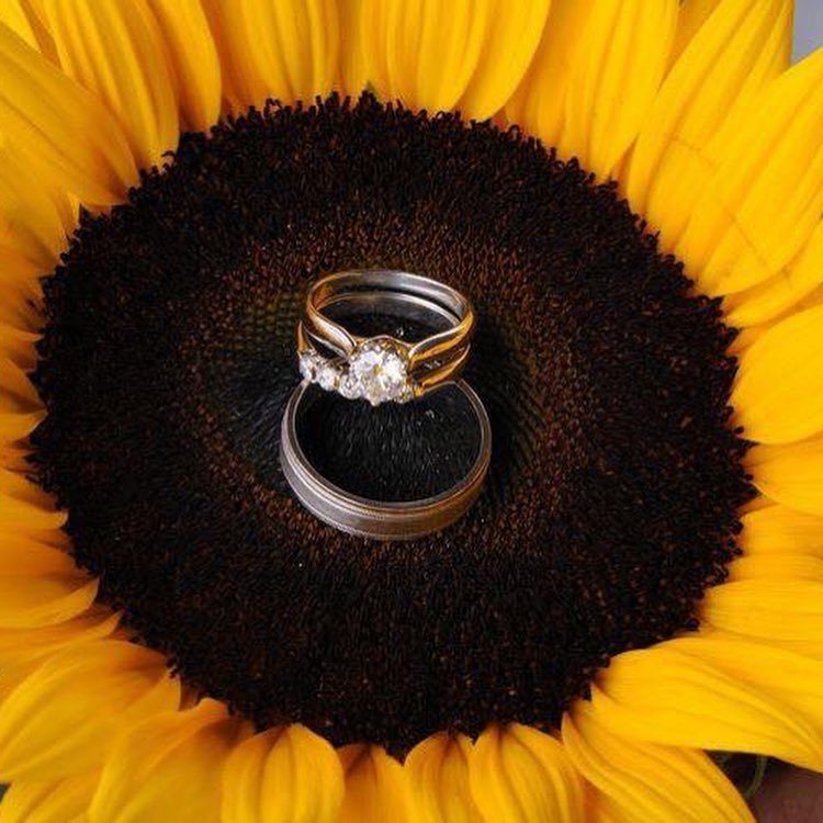 Two wedding rings resting in the dark center of a vibrant yellow sunflower.