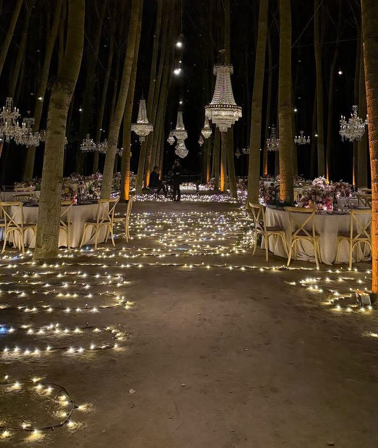 19 Winter Wonderland Wedding Ideas for a Modern Celebration 11 Crystal chandeliers hanging from tall trees over an outdoor wedding reception with tea lights on the ground.